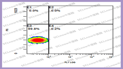釋胞兒退行性抗衰老產品_產品_圣釋工廠_SCLnow圣釋