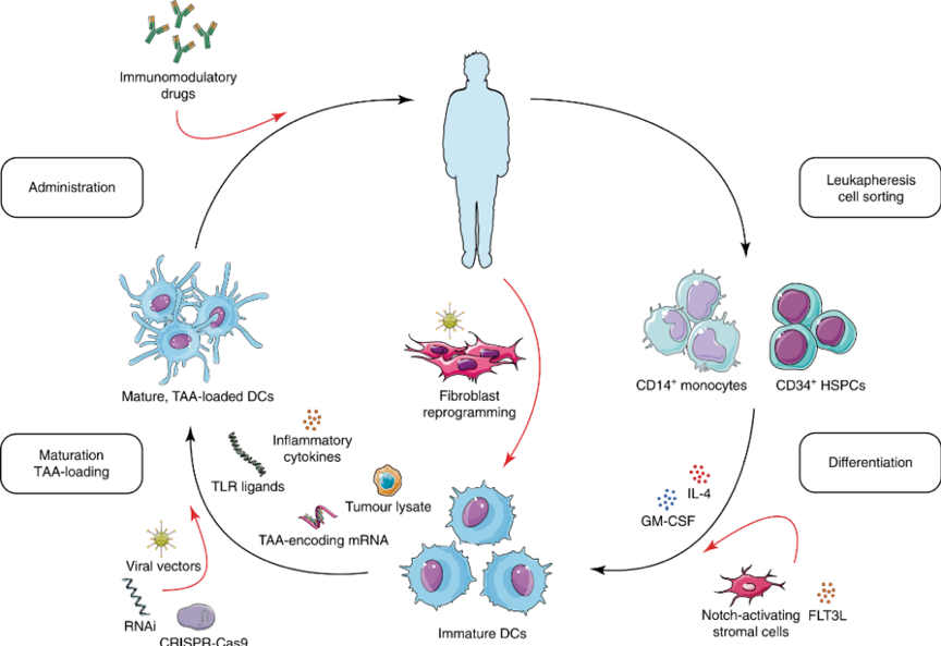 73個項目通過備案,間充質干細胞撐起我國臨床研究半邊天_產品_來源_新