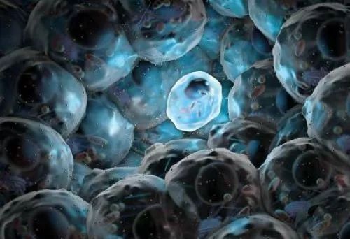 高明在促進科技成果轉化上有新政策,單個項目獎勵總金額最高可達10 萬元