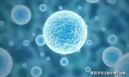 干細胞技術,掀起醫學革命新浪潮