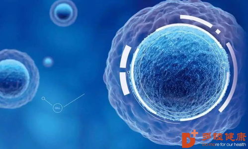 日本干細胞的這19個知識點,你一定要知道