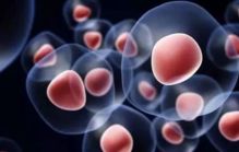 再生醫學之干細胞的應用